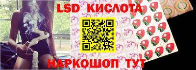 ПСИЛОЦИБИНОВЫЕ ГРИБЫ Ярославль