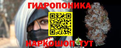 ПСИЛОЦИБИНОВЫЕ ГРИБЫ Ярославль