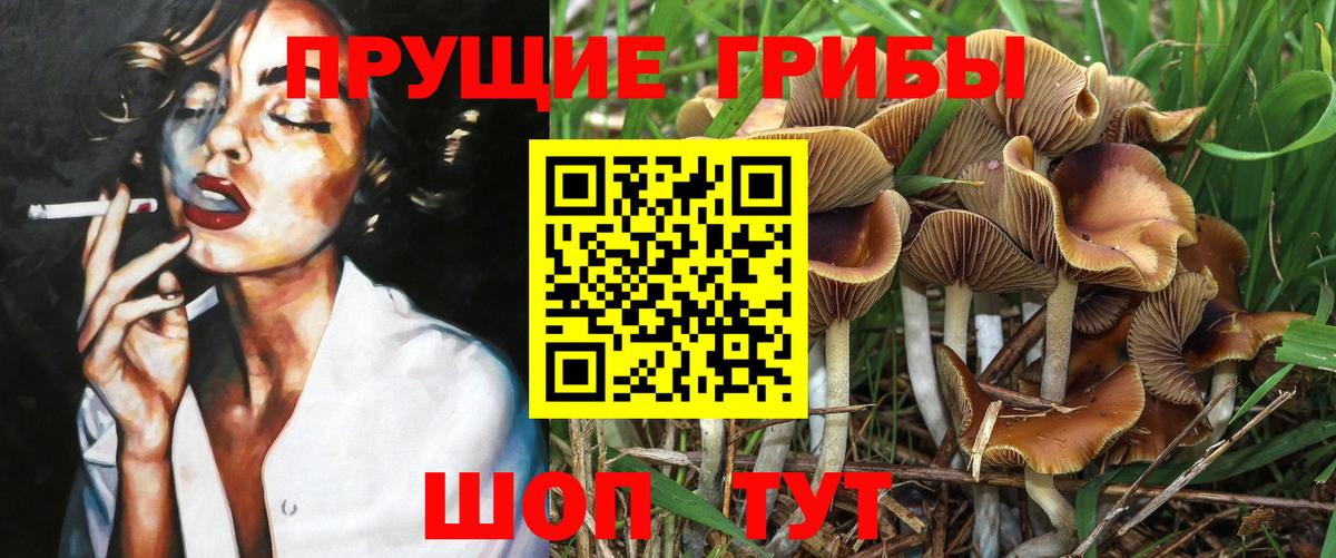 Псилоцибиновые грибы ЛСД  Вход с VPN  Псилоцибиновые грибы Cubensis  Вятские Поляны 